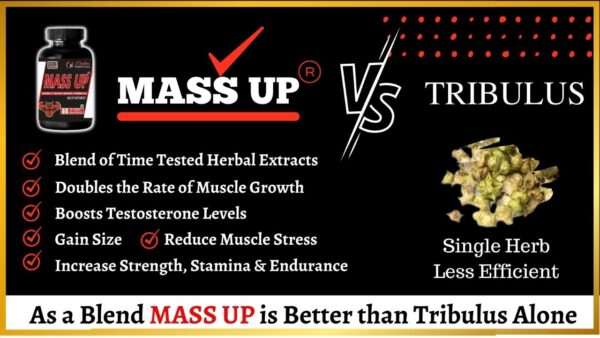 Mass UP is the best weight gaining capsule