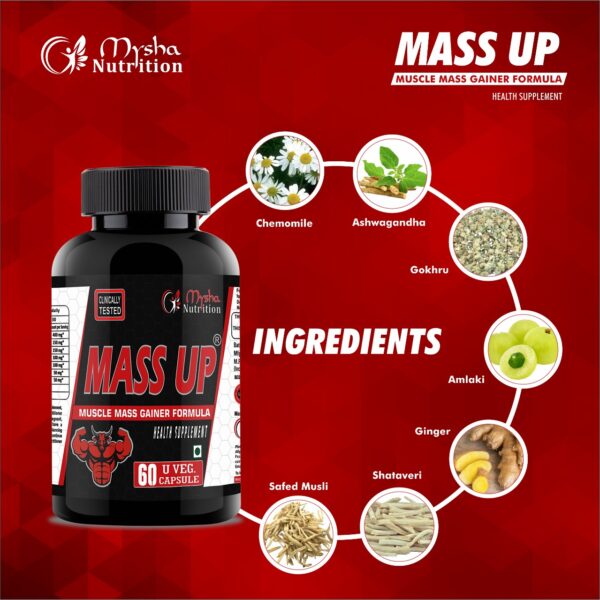Ingredients of Mass UP