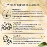Infographic showing 4-month results of Probless Biotin for hair fall reduction: nourishes follicles, balances hormones, prevents thinning, improves density