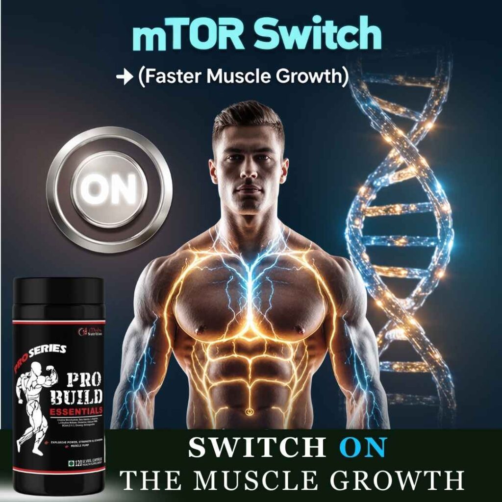 Muscular torso glowing with energy and DNA strand, illustrating mTOR activation and muscle growth with Pro Build Essentials
