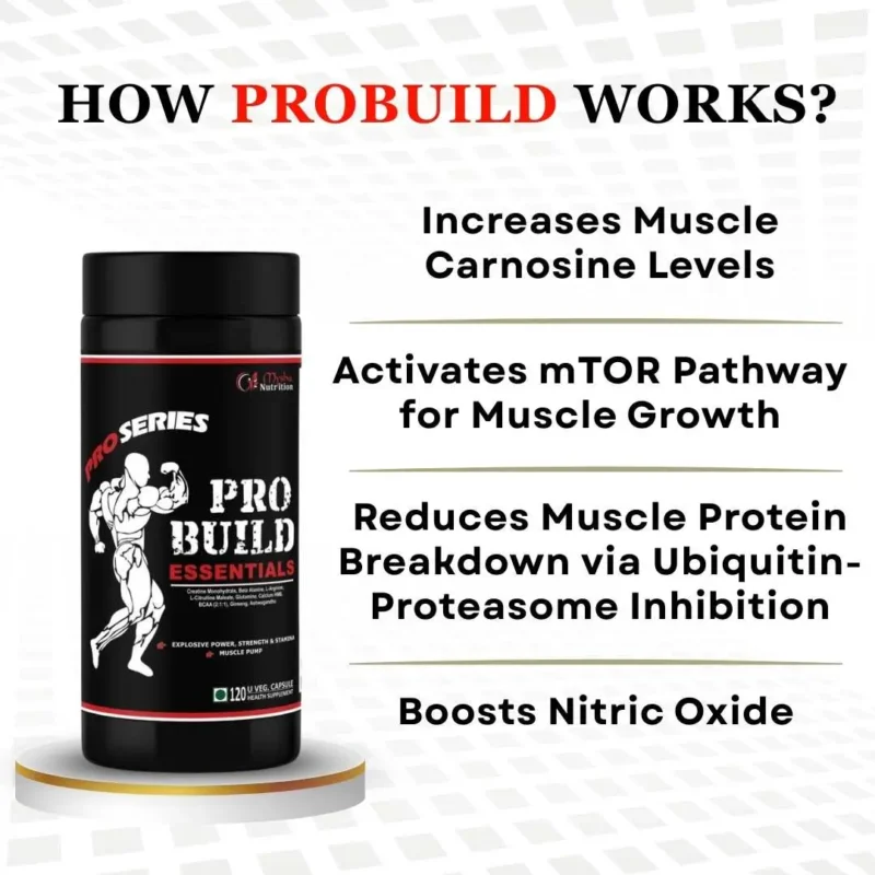 Probuild Essentials supplement benefits – increases muscle carnosine, boosts nitric oxide, activates mTOR pathway, reduces muscle breakdown for strength, stamina, and muscle growth."