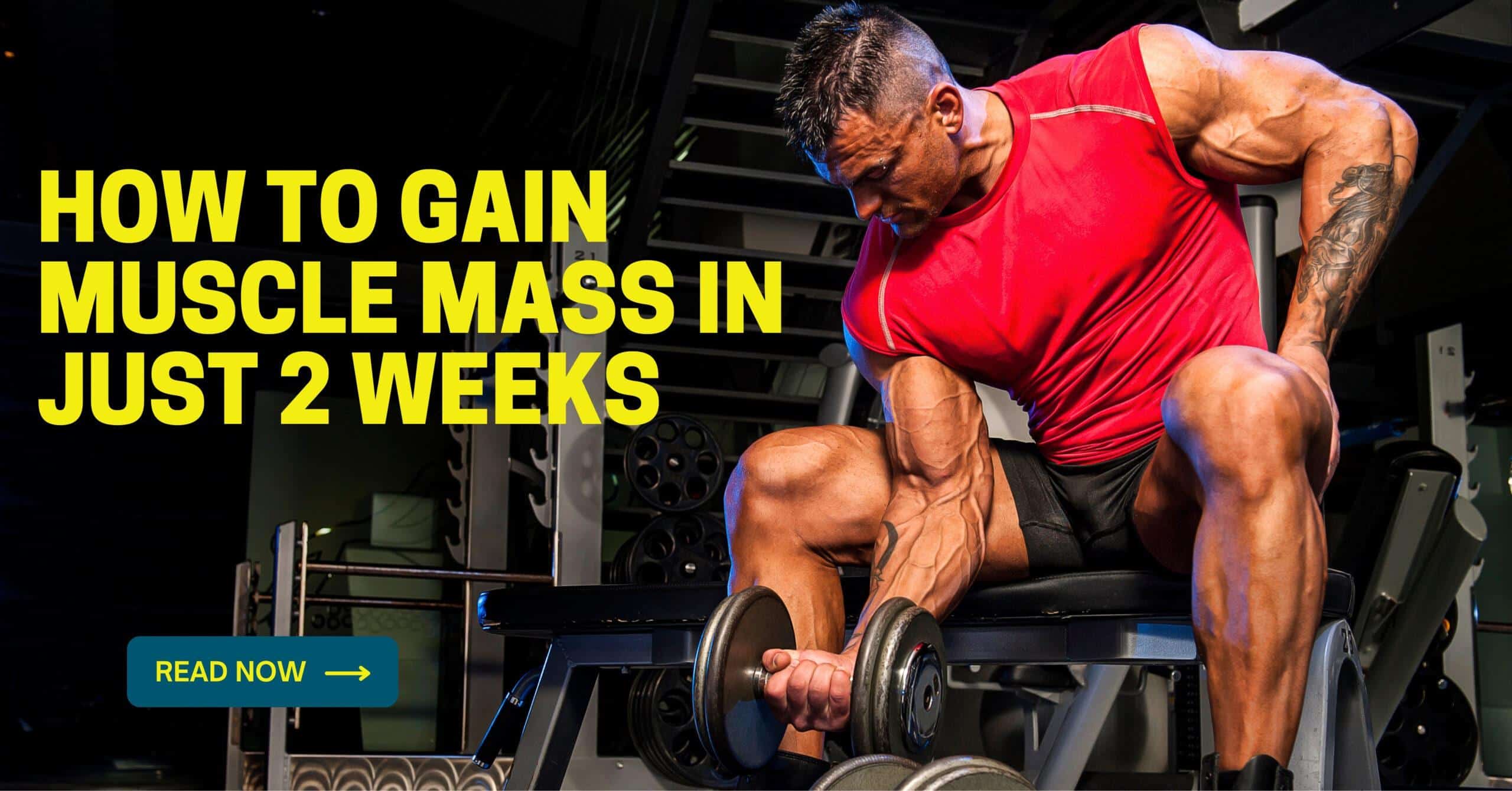 Gain Muscle Mass
