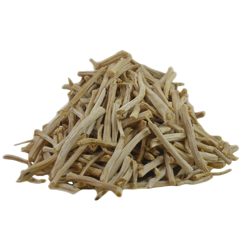 Shatavari for hormonal balance and muscle support