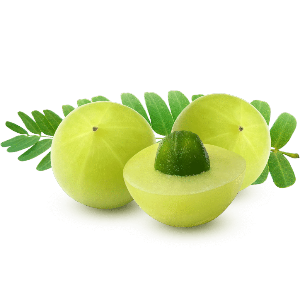 Amla for antioxidant support and muscle recovery