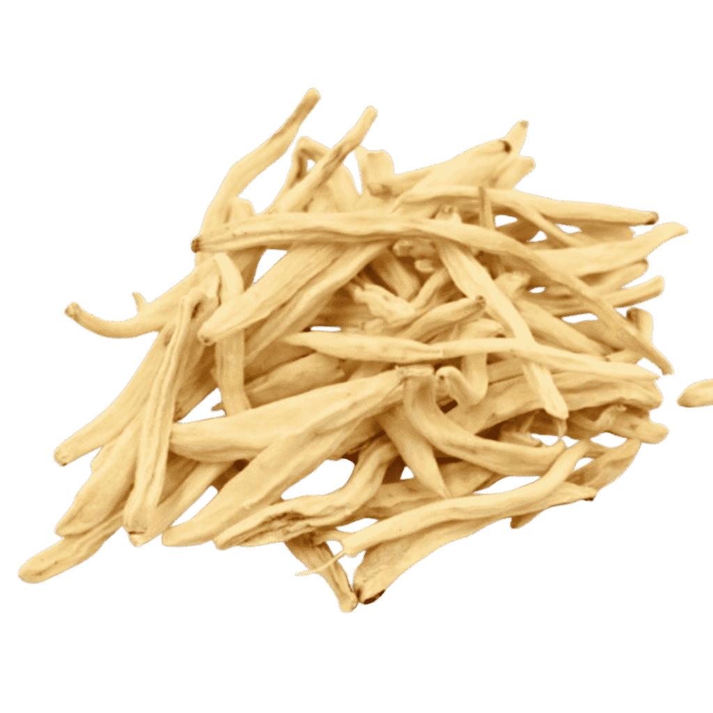 Safed Musli for energy, stamina, and muscle gain