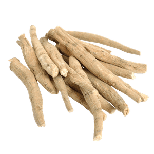 Ashwagandha for muscle growth and strength in bodybuilding supplement